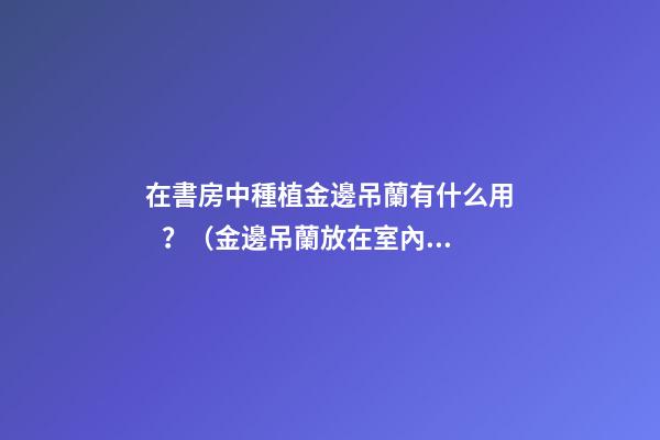 在書房中種植金邊吊蘭有什么用？（金邊吊蘭放在室內(nèi)好嗎）